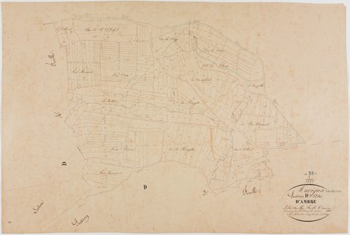 Marigna-sur-Valouse, section D, Ambre, feuille 3.géomètre : Duchesne