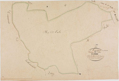 Marigna-sur-Valouse, section D, Ambre, feuille 5.géomètre : Duchesne