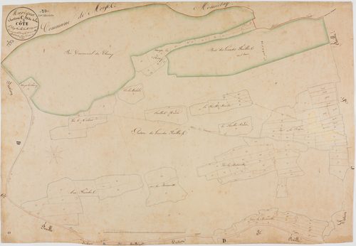 Marigna-sur-Valouse, section C, la Côte, feuille 5.géomètre : Duchesne