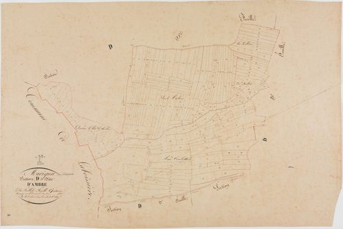 Marigna-sur-Valouse, section D, Ambre, feuille 4.géomètre : Duchesne