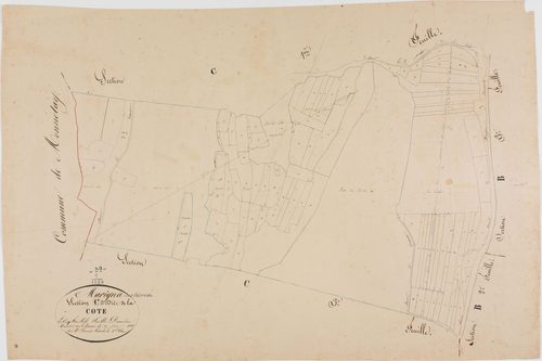 Marigna-sur-Valouse, section C, la Côte, feuille 2.géomètre : Jannin