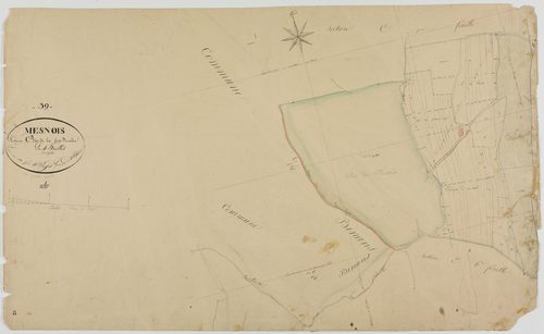 Mesnois, section C, la Fin Derrière, feuille 3.géomètre : Paget