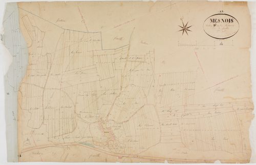 Mesnois, section D, Thuron, feuille 3.géomètre : Paget