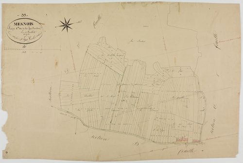 Mesnois, section C, la Fin Derrière, feuillle 4.géomètre : Paget