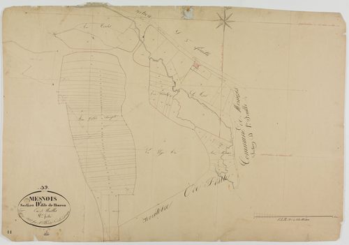 Mesnois, section D, Thuron, feuille 2.géomètre : Bénier
