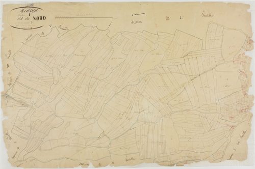 Meussia, section A, le Nord, feuille 3.géomètre : Olivier cadet