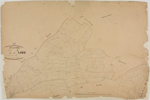 Meussia, section A, le Nord, feuille 1.géomètre : Olivier cadet
