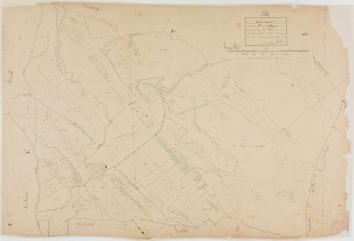 Moirans-en-Montagne, section D, la Prairie, feuille 2.géomètre : Grillot