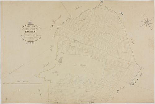 Moissey, section C, les Roches, feuille 1.géomètre : A. Vermot