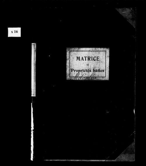Matrice des propriétés bâties.