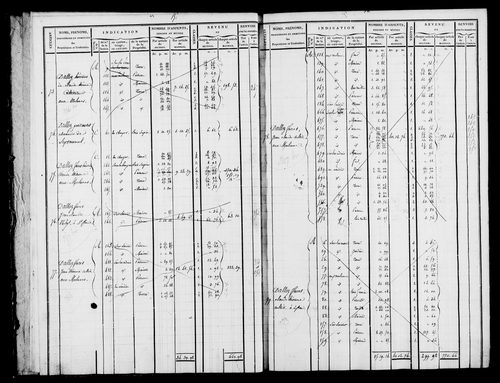 Etat de sections et matrice foncière.