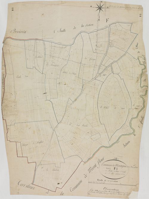 Montagna-le-Templier, section F, Molard de Coeur, feuille 2.géomètre : Félix aîné