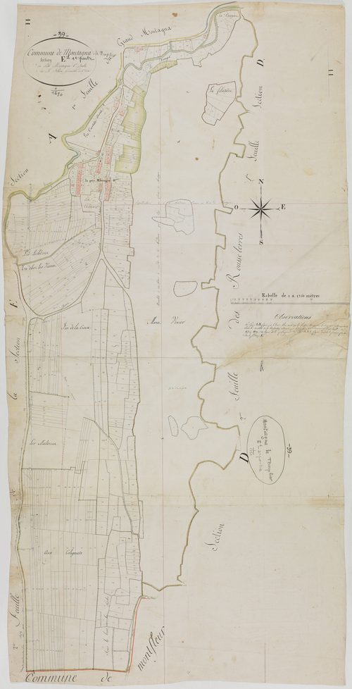 Montagna-le-Templier, section E, Petit Montagna, feuille 1.géomètre : Félix aîné