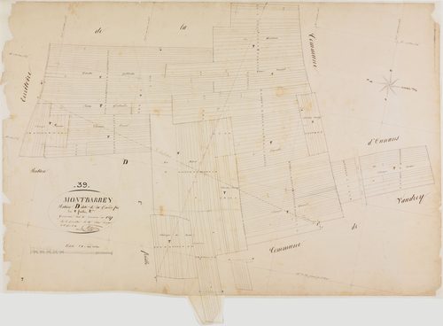 Montbarrey, section D, la Grande Fin, feuille 2.géomètre : Singey