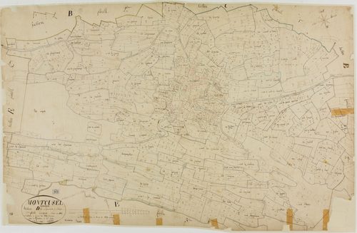 Montcusel, section D, Grandserve le Village, feuille unique.géomètre : Billet