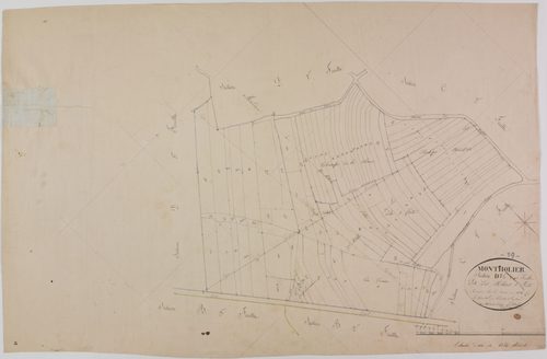Montholier, section D, les Milières, feuille 1.