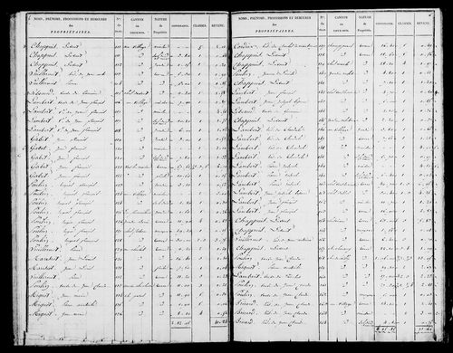Etat de sections et matrice foncière.