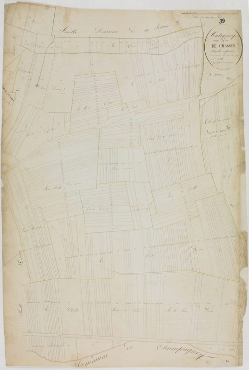 Mutigney, section A, Chassey, feuille 7.géomètre : Mathieu