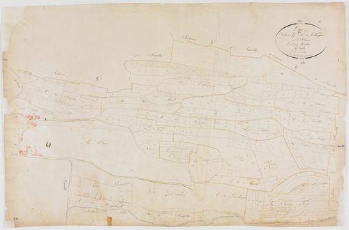 Onoz, section G, Parc et Crance, feuille 4.géomètre : Tabey