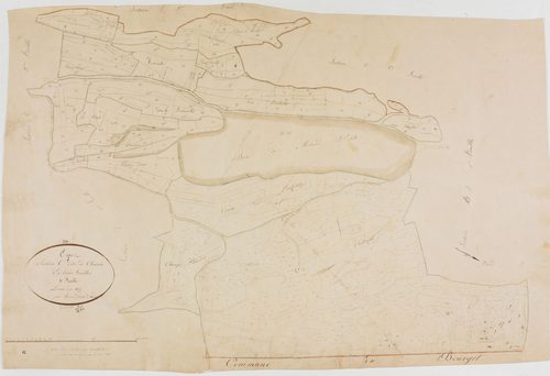 Onoz, section C, Chavia, feuille 1.géomètre : Romand