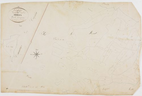 Orgelet, section C, Merlia, feuille 12.géomètre : Guyard
