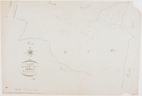 Orgelet, section C, Merlia, feuille 11.géomètre : Guyard