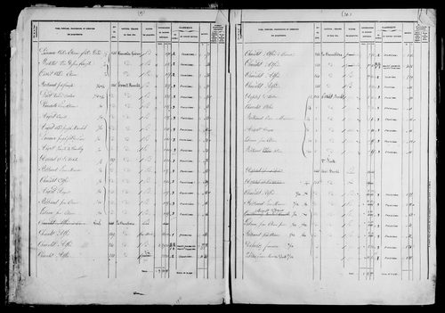 Etat de sections et matrice foncière.