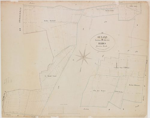 Ounans, section D, les Herbues, feuille 2.géomètre : Olivier et Grenier