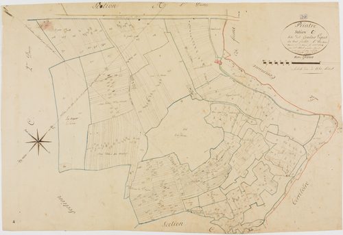 Peintre, section C, les Grandes Vignes, feuille 1.géomètre : Morel, sous la direction de Rosset