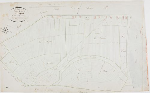 Petit-Noir, section B, le Saulçois, feuille 4.géomètre : Guyard