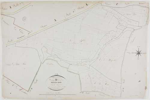 Plainoiseau, section B, les Petites Bois, feuille 3.géomètre : Parent