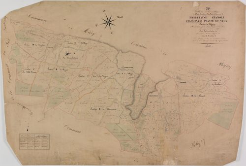 Barretaine, Chamole, Chaussenans, Plasne, Vaux, tableau d'assemblage, -Tableau d'assemblage des communes de Barretaine, Chamole, Chaussenans, Plasne, Vaux, canton de Poligny.Date : 1834.