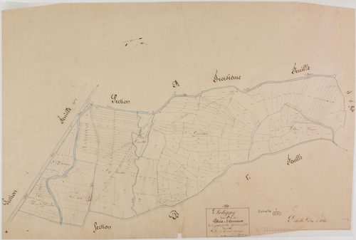 Poligny, section A, Bois d'Arnaux, feuille 4.