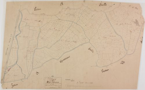 Poligny, section A, Bois d'Arnaux, feuille 3.