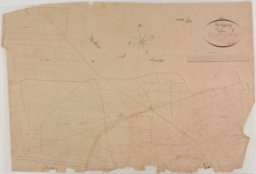 Poligny, section I, Croix de Pierre, feuille 4.