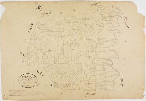 Prénovel, section C, les Belbenoît, feuille 1.géomètre : Guyon
