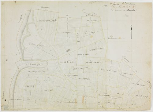 Ranchot, section A, Bois de Ranchot, feuille 2.[1809] géomètre : pas de nom [Boichoz et Jolyot ?]