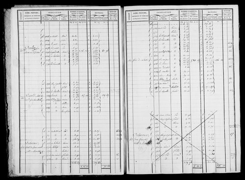 Etat de sections et matrice foncière.