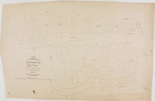 Reithouse, section unique, feuille 5.géomètre : Trésy