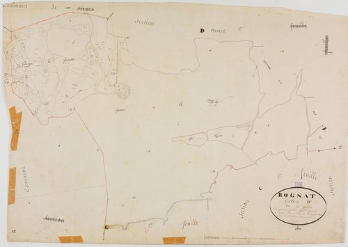 Rogna, section D, la Prairie, feuille 1.géomètre : Bouvard