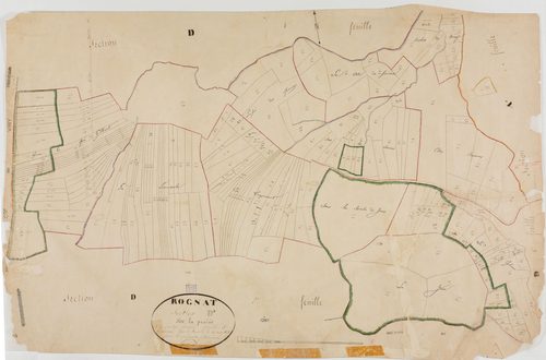 Rogna, section D, la Prairie, feuille 3.géomètre : Bouvard