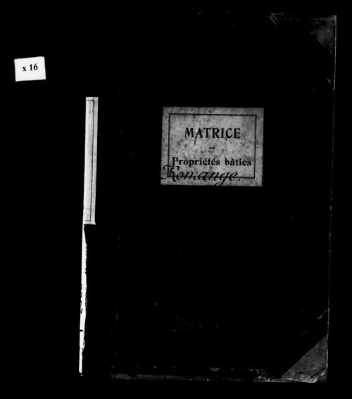 Matrice des propriétés bâties.