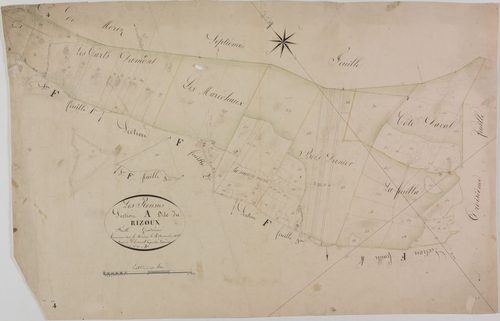 Rousses (les), section A, le Rizoux et le Vivier, feuille 4.