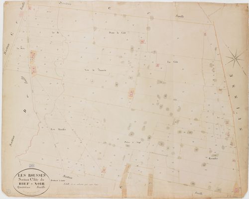 Rousses (Les), section C, le Bief-Noir, feuille 4.géomètre : Braud