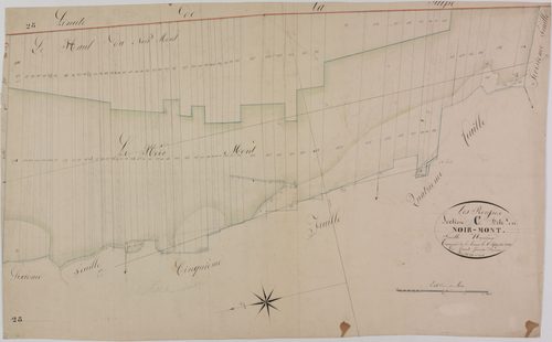 Rousses (les), section C, le Noir-Mont, feuille 9.