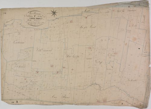 Rousses (les), section C, le Noir-Mont, feuille 5.