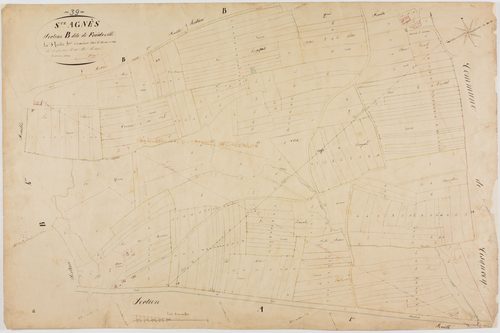 Sainte-Agnès, section B, Froideville, feuille 5.géomètre : Singey