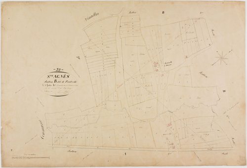 Sainte-Agnès, section B, Froideville, feuille 4.géomètre : Singey