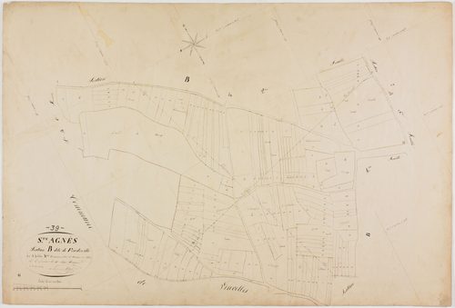 Sainte-Agnès, section B, Froideville, feuille 3.géomètre : Singey