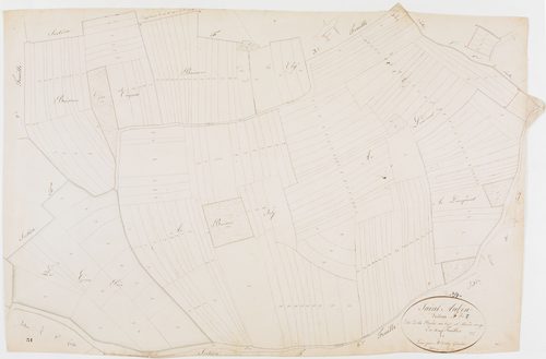 Saint-Aubin, section F, la Borde au Cyr et Borde Rouge, feuille 7. [1825]géomètre : Tabey